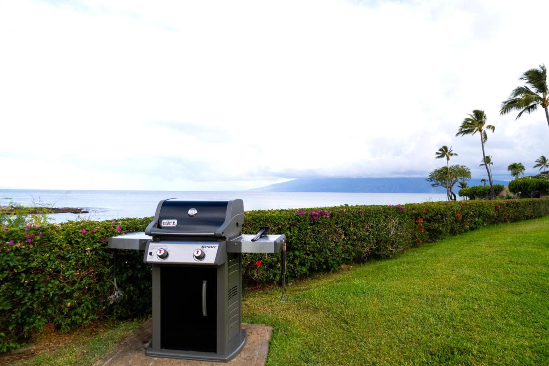 Kbm Resorts Free Car Napili Point Nap-C18 Ocean Front Spacious Villa Kapalua Buitenkant foto